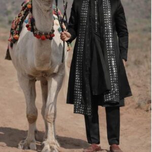 Shahi Safar Silk-Blend Sherwani Set – Hand-Embellished Madhubani & Sujani Inspired Design